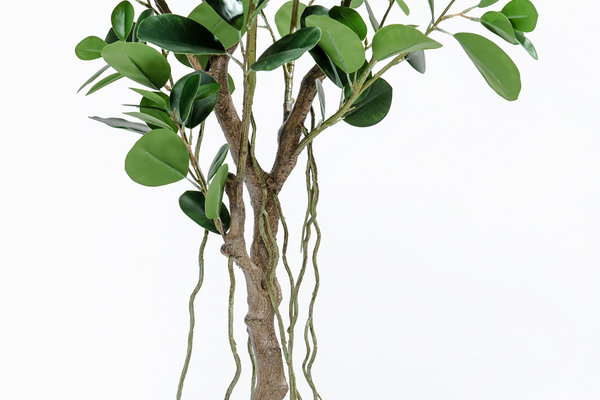 coolplant-0005030125-2.jpg 