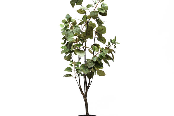 coolplant-0009020117-5.jpg 