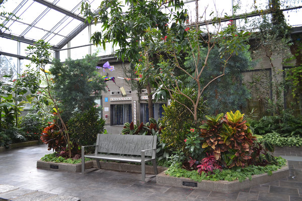 coolplant_urban_park_519937279_thumb.jpg 