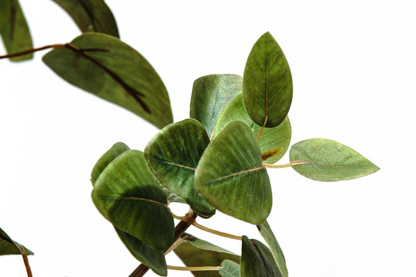 coolplant-0009020117-4.jpg 