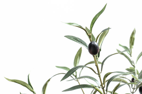 coolplant-0014010125-2.jpg 