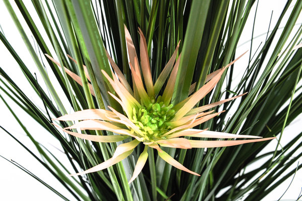 coolplant-0038010112-3.jpg 