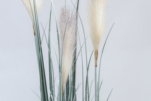 coolplant-00370101-3.jpg 
