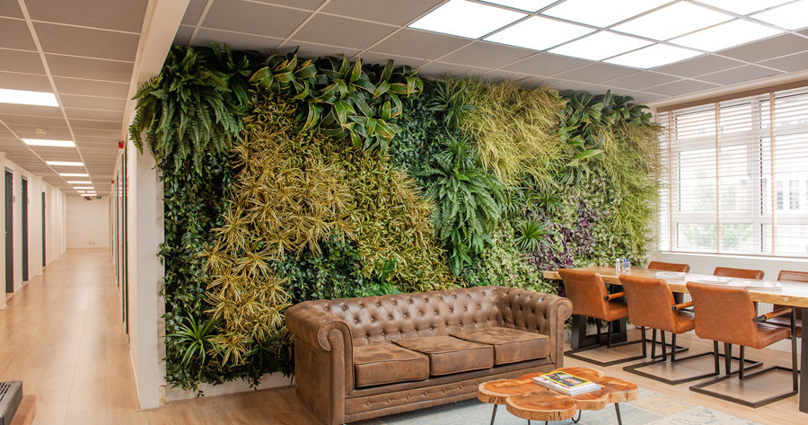 Auckland Herenhuis Misleidend Plantenwand voor kantoren en buitenruimten | Coolplant