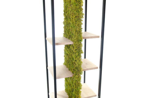 coolplant-8337.jpg 
